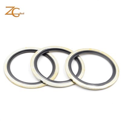 Con dấu cao su ngoại quan